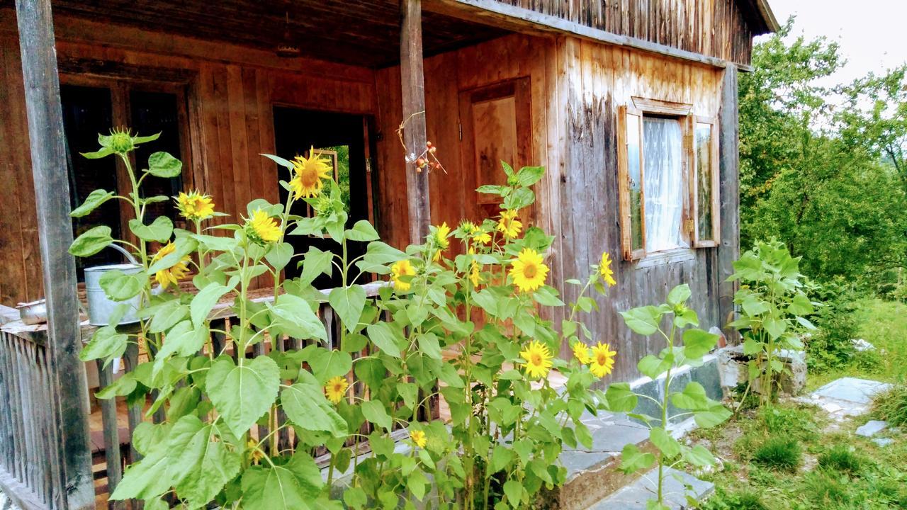 Discover Kinchkha Satsiskvilo Bagian luar foto